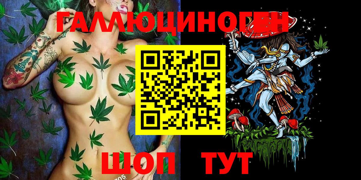Сосновоборск  Псилоцибиновые грибы MAGIC MUSHROOMS  Вход с VPN  Галлюциногенные грибы Psilocybine cubensis 